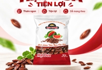 Túi Hạt Dưa Gia Long 50g và 500g – Tiện Lợi, Thơm Ngon, Phù Hợp Mọi Nhu Cầu