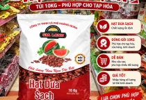 Hạt Dưa Sạch Gia Long 10kg – Giải Pháp Nguồn Hàng Tiện Lợi Cho Cửa Hàng Tạp Hóa