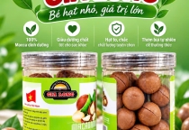 HẠT MACCA GIA LONG – LỰA CHỌN DINH DƯỠNG CHO CUỘC SỐNG HIỆN ĐẠI