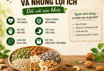 Hạt Dinh Dưỡng Và Những Lợi Ích Đối Với Sức Khỏe