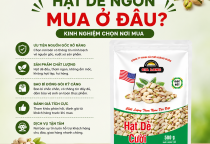 Hạt Dẻ Ngon Mua Ở Đâu? Kinh Nghiệm Chọn Nơi Mua Uy Tín