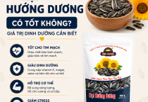 Hạt Hướng Dương Có Tốt Không? Giá Trị Dinh Dưỡng Cần Biết
