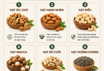 Top Các Loại Hạt Tốt Cho Chế Độ Ăn Hằng Ngày