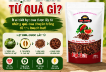 Hạt Dưa Từ Quả Gì? Ít Ai Biết Hạt Dưa Được Lấy Từ Những Quả Dưa Chuyên Trồng Để Thu Hoạch Hạt