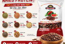 Hạt Nào Nhiều Protein? Top 8 Loại Hạt Giàu Đạm Tốt Cho Sức Khỏe