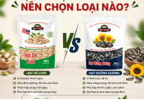 Hạt Dẻ Và Hạt Hướng Dương – Nên Chọn Loại Nào?