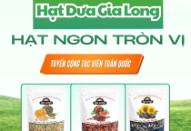Hạt Dưa Rang Củi Gia Long – Hương vị truyền thống trong từng hạt dưa
