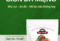 Túi đỏ 500g hạt dưa Gia Long – Lựa chọn số 1 tại Hạt Dưa Gia Long