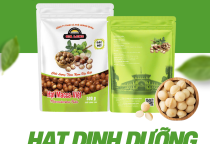 Top 1 hạt dinh dưỡng bán chạy Gia Long – Hạt macca 500g cao cấp cho sức khỏe hiện đại
