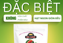 Hạt Dưa Gia Long túi 500g – Túi được khách hàng sử dụng nhiều nhất tại Hạt Dưa Gia Long