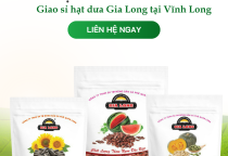 Giao sỉ hạt dưa Gia Long tại Vĩnh Long