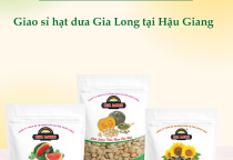 Giao sỉ hạt dưa Gia Long tại Hậu Giang
