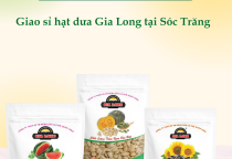 Giao sỉ hạt dưa Gia Long tại Sóc Trăng