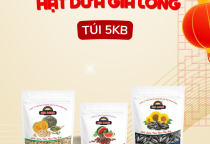 HẠT DƯA GIA LONG – SẢN PHẨM HẠT RANG CHẤT LƯỢNG CHO NGƯỜI TIÊU DÙNG VIỆT