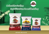 Hạt Dưa Gia Long túi nhỏ 50g – Giải pháp ăn vặt tiện lợi cho cuộc sống hiện đại