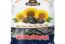 Hạt Hướng Dương Gia Long – Giòn Ngon, An Toàn Cho Mọi Gia Đình