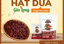Hạt Dưa Gia Long – Nguồn Sỉ Chất Lượng Cao, Lợi Nhuận Bền Vững Cho Đại Lý Toàn Quốc