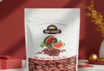 TẾT 2026 – VÌ SAO NÊN CHỌN HẠT DƯA GIA LONG?