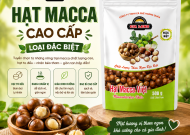 Lợi Ích Khi Ăn Quả Macca – Siêu Thực Phẩm Dinh Dưỡng Được Nhiều Người Yêu Thích