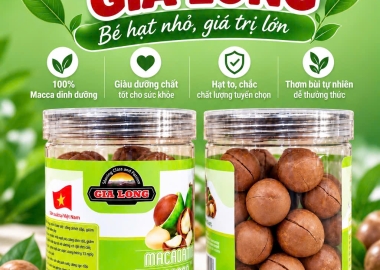 HẠT MACCA GIA LONG – LỰA CHỌN DINH DƯỠNG CHO CUỘC SỐNG HIỆN ĐẠI