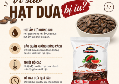 Vì Sao Hạt Dưa Bị Ỉu? Nguyên Nhân Và Cách Bảo Quản Hạt Dưa Luôn Giòn Ngon