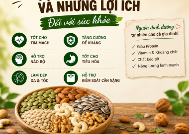 Hạt Dinh Dưỡng Và Những Lợi Ích Đối Với Sức Khỏe