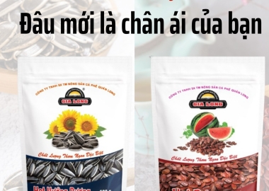 5 lý do nên ăn các loại hạt để giúp giảm cân