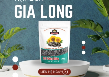 Những điều thú vị về hạt hướng dương bạn nên biết