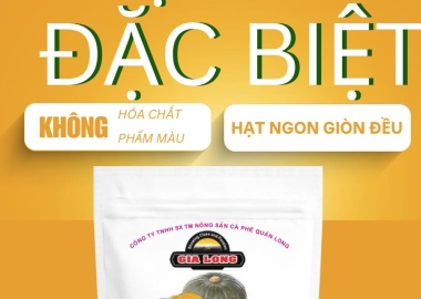 Hạt bí vàng Gia Long bán chạy – Dòng sản phẩm nổi bật tại Hạt Dưa Gia Long