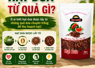 Hạt Dưa Từ Quả Gì? Ít Ai Biết Hạt Dưa Được Lấy Từ Những Quả Dưa Chuyên Trồng Để Thu Hoạch Hạt