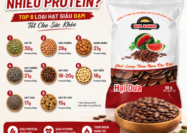 Hạt Nào Nhiều Protein? Top 8 Loại Hạt Giàu Đạm Tốt Cho Sức Khỏe