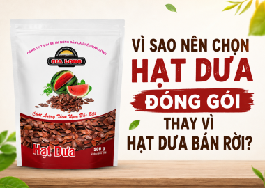 Vì Sao Nên Chọn Hạt Dưa Đóng Gói Thay Vì Hạt Dưa Bán Rời?