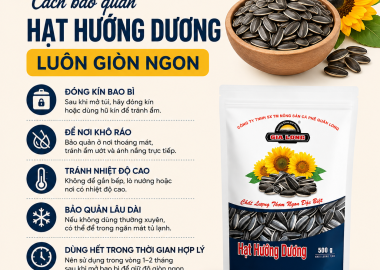 Cách Bảo Quản Hạt Hướng Dương Luôn Giòn Ngon, Thơm Bùi