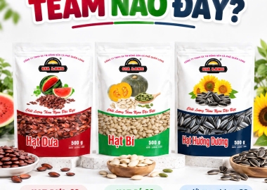 TEAM HẠT DƯA, HẠT BÍ HAY HƯỚNG DƯƠNG? CÙNG GIA LONG CHỌN VỊ HẠT YÊU THÍCH