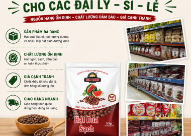 Bỏ Sỉ Đại Lý Hạt Dưa Uy Tín GIA LONG – Đồng Hành Cùng Đại Lý Phát Triển Kinh Doanh