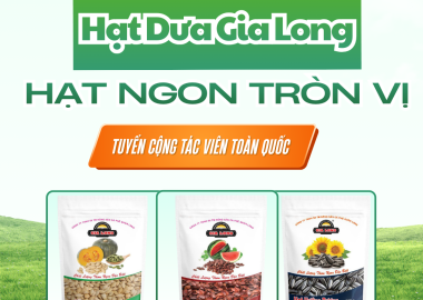 Hạt Dưa Rang Củi Gia Long – Hương vị truyền thống trong từng hạt dưa