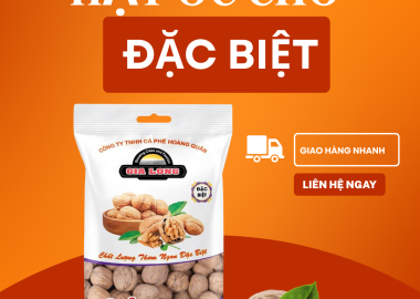 Hạt óc chó Gia Long – Top 1 sản phẩm chất lượng tại Hạt Dưa Gia Long