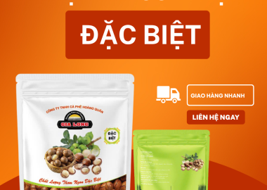 Hạt macca Việt Gia Long – Vì sao là lựa chọn hàng đầu cho sức khỏe hiện đại