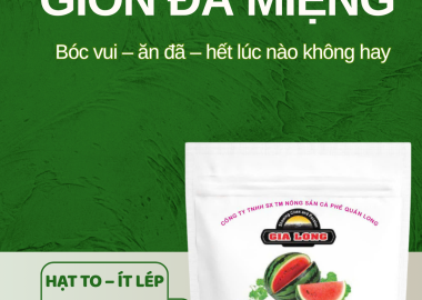 Túi đỏ 500g hạt dưa Gia Long – Lựa chọn số 1 tại Hạt Dưa Gia Long
