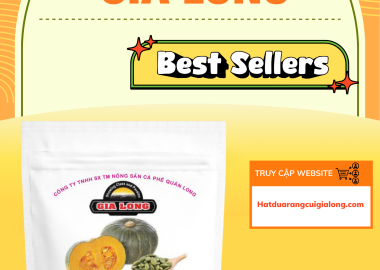 Hạt bí Gia Long túi 500g – Sản phẩm bán chạy tại Hạt Dưa Gia Long