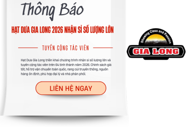 HẠT DƯA GIA LONG 2026 NHẬN SỈ SỐ LƯỢNG LỚN – TUYỂN CỘNG TÁC VIÊN 64 TỈNH THÀNH