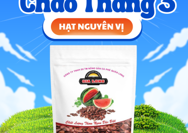 Hạt Dưa Gia Long – Hương vị truyền thống trong từng hạt dưa rang củi