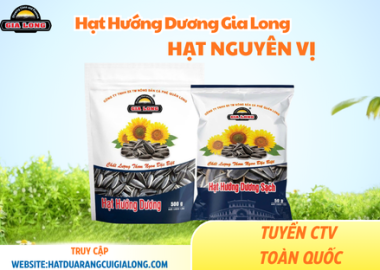 Làm sao để nhận biết hạt hướng dương nguyên vị chất lượng