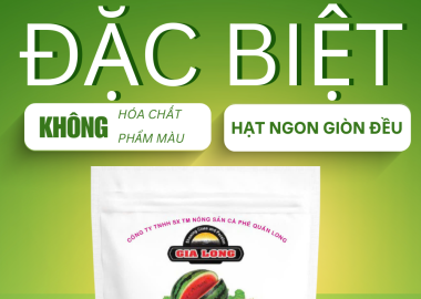 Hạt Dưa Gia Long túi 500g – Túi được khách hàng sử dụng nhiều nhất tại Hạt Dưa Gia Long