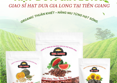 Giao sỉ hạt dưa Gia Long tại Tiền Giang – Hương vị Tết truyền thống, giao nhanh tận nơi