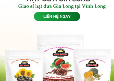 Giao sỉ hạt dưa Gia Long tại Vĩnh Long