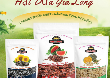 Giao sỉ hạt dưa rang củi Gia Long tại Long An