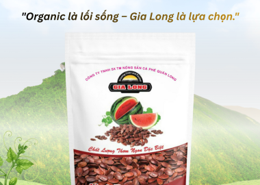Giao sỉ hạt dưa rang củi Gia Long tại Bình Phước