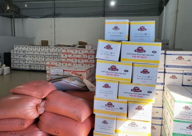 Hạt Dưa Truyền Thống Việt Nam