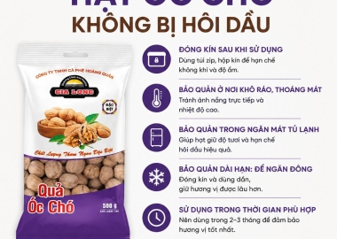 Cách Bảo Quản Hạt Óc Chó Không Bị Hôi Dầu – Mẹo Giữ Hạt Thơm Ngon Lâu Hơn
